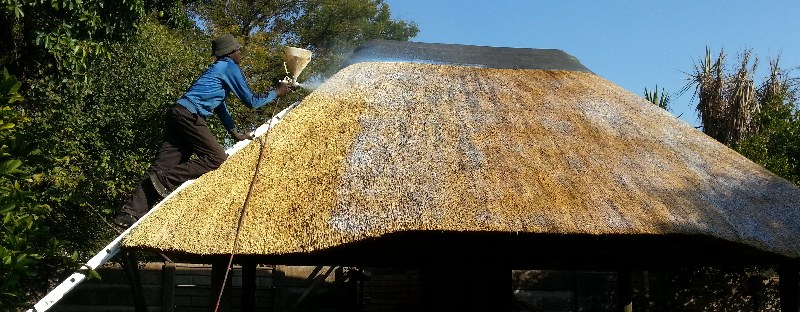 A thatcher spraying fire retardant onto a thatch roof from a ladder