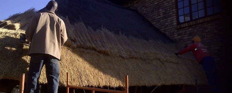 Thatchers re-thatching a house roof